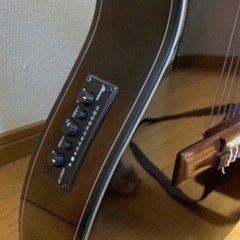 Ibanez Classic ピックアップ有り