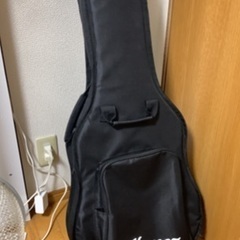 Ibanez Classic ピックアップ有り