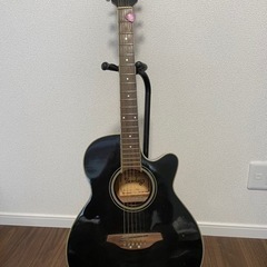acoustic guitar (black)