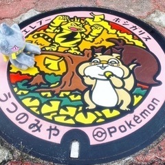 栃木県のポケモン メンバー募集 ジモティー