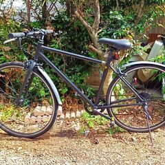 ☆ゴキブリ⁉みたいな自転車☆28インチ自転車『R』シマノ6段変速ギア