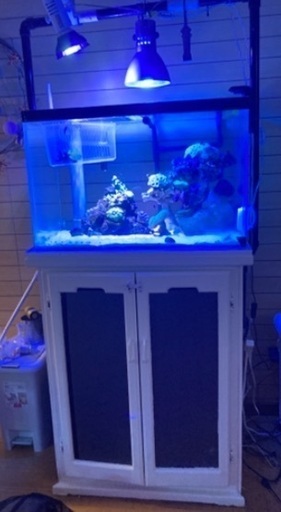 オーバーフロー水槽