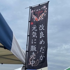 6月26日鶴見緑地せせらぎマルシェ - イベント