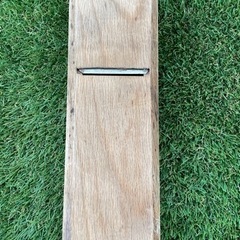 千代鶴運壽 かんな カンナ