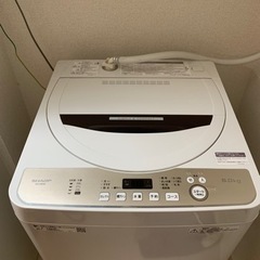 本日可 SHARP洗濯機 2019年発売モデル 穴無しモデル 6kg