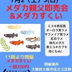 粉浜商店街にてメダカ販売メダカ救いイベントを開催❗️❗️