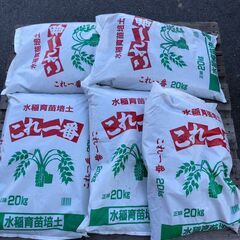 水稲育苗培土 これ一番 20kg 在庫6 