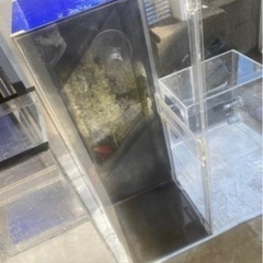 大型水槽 アクリル水槽 1200×450×h450 6月中お取引きのみ値下げ