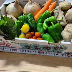 お取引中！！無農薬　野菜セット！！(きゅうりも追加して入れます)