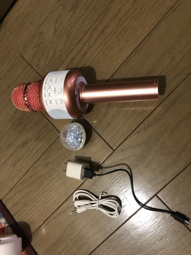 1000円でお譲りします❣️エコー付き‼️マイク‼️
