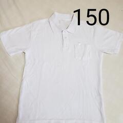 【決まりました】半袖ポロシャツ【150】