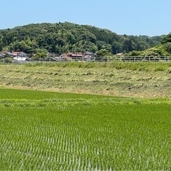 草刈り業務 - 松江市