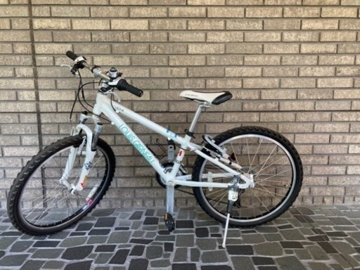 ルイガノ　LGS J24 子供用自転車