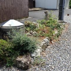 庭木庭石植木鉢（整理番号20)