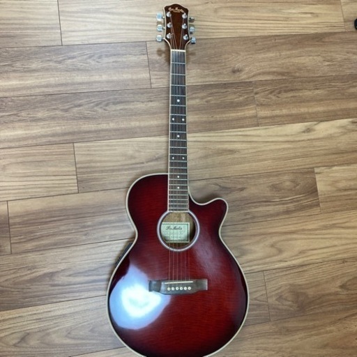 値下げしました。エレアコ　pro martin model No.EA500W WRS