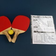 久々入荷！【引取限定・現状渡し】イグニオ 卓球台 1525×2740×760mm 国際規格サイズ