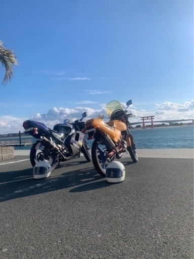 ns50f エンジン絶好調