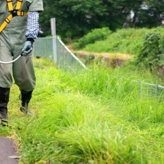 草刈り・除草剤散布等