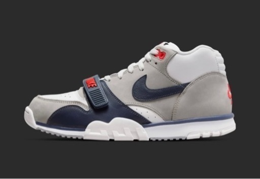 エアトレーナー1 29センチ Nike Air Trainer 1 