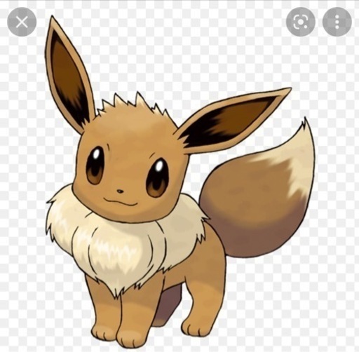 秋葉原トレカショップ びしょっく 秋葉原の本屋の無料求人広告 アルバイト バイト募集情報 ジモティー