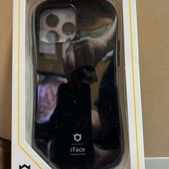 ※値下げ　iPhone13 Pro Maxケース　ブラック