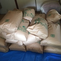 玄米　30kg   10袋　飲食店様用