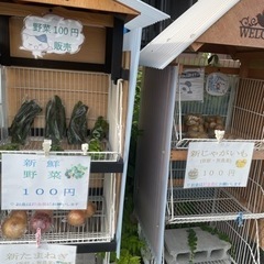 野菜100円販売★夏野菜