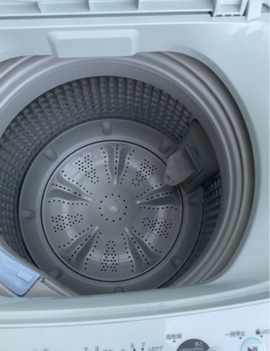 ハイアール洗濯機　JW-C55D-W 2019年製　美品　5.5kg