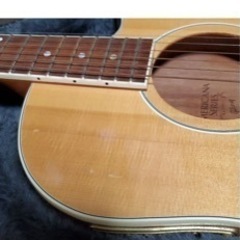 ギブソンUSA Americana