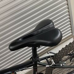 MYPALLAS マウンテンバイク DIAMANT M-620N 26インチ 6速