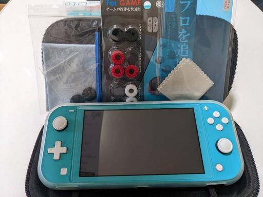 スイッチライト(本日購入者に限り)