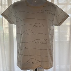 275.グラニフしろくま　半袖Tシャツ⭐︎