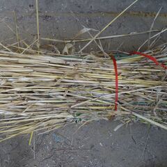 無農薬　有機栽培大麦わら　ヒンメリ作り　蛍籠作りに