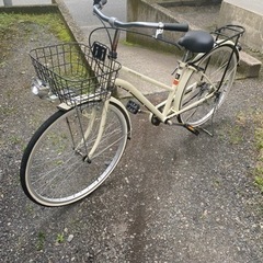 自転車　ベージュ