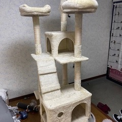 キャットタワー  交渉中