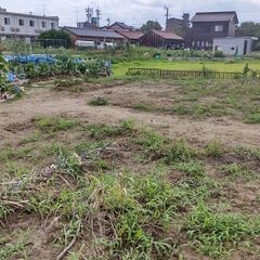 レンタル菜園　Kitchen garden rental の画像