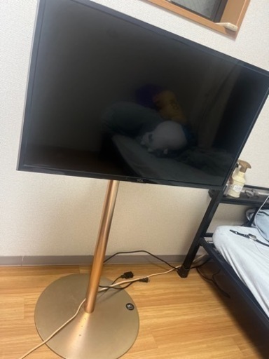 TCL D290 シリーズ　テレビ　アンテナケーブル・テレビスタンド付