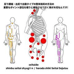 振武整體(しんぶせいたい)手技院　原田式整体施術特別指導教材　骨盤調整法