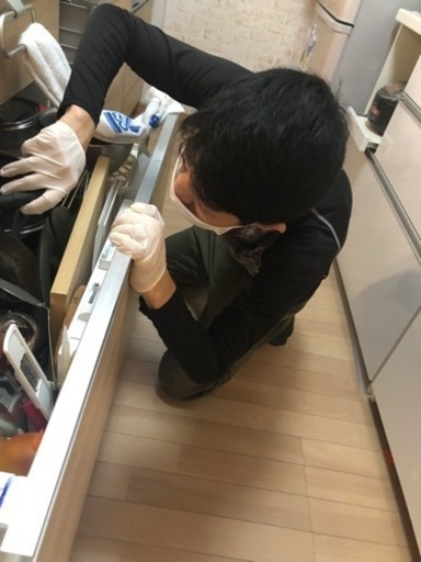 大阪府北部〜大阪市　害虫、害獣駆除作業