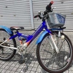 【ネット決済・配送可】【24インチ子供自転車】ブリヂストン製マウ...