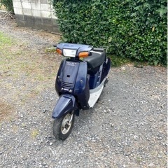 埼玉県のヤマハ ミントの中古が安い!激安で譲ります・無料であげます
