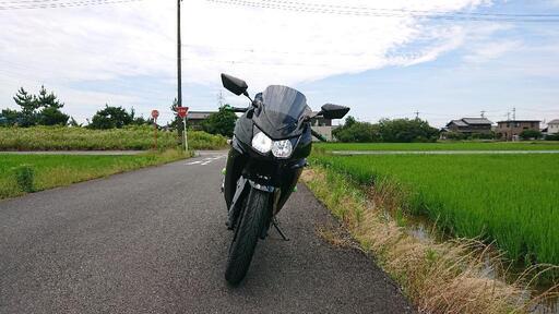 [受付終了しました] Kawasaki Ninja 250R 絶好調すぐ乗れます 愛知 稲沢