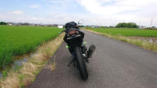 [受付終了しました] Kawasaki Ninja 250R 絶好調すぐ乗れます 愛知 稲沢