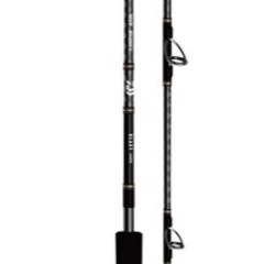 Daiwa BLAST JIGING60HS