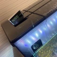 熱帯魚フルセット90センチ水槽