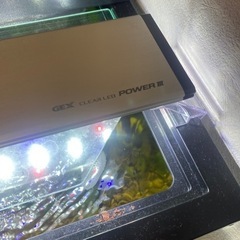 熱帯魚フルセット90センチ水槽