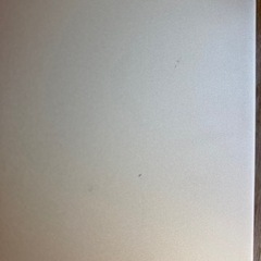 iPad Pro 12.6インチ 第一世代　Gold 128GB