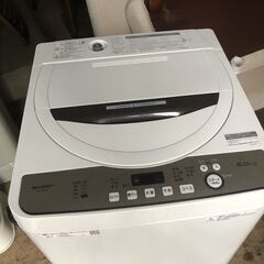 SALE！！ SHARP シャープ ES-GE6D-T 穴なし槽で節水・黒カビブロック 