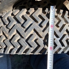 フォミュラー　デザートドッグ