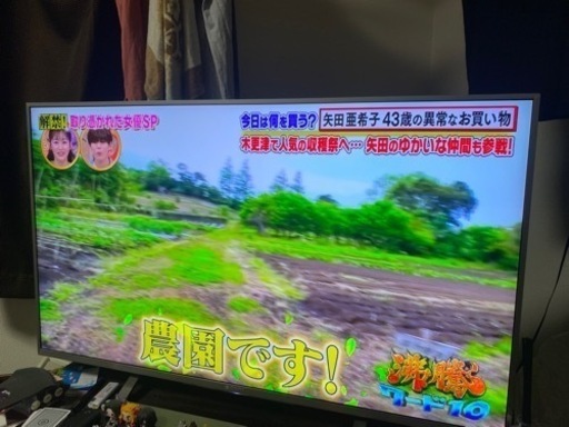 テレビ液晶テレビ 43V ソニー